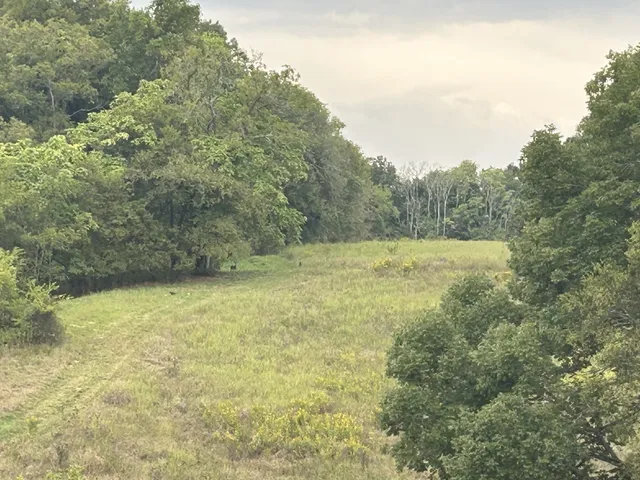 $1,200,000 | 2903 Dunlap Road, Duck River, TN 38454