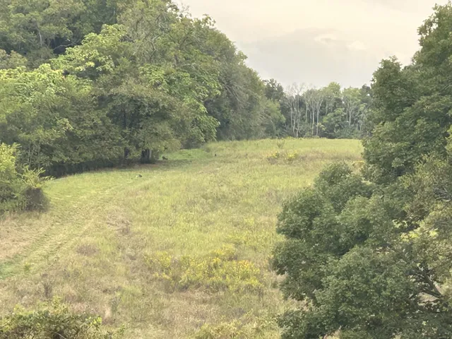 $1,200,000 | 2903 Dunlap Road, Duck River, TN 38454