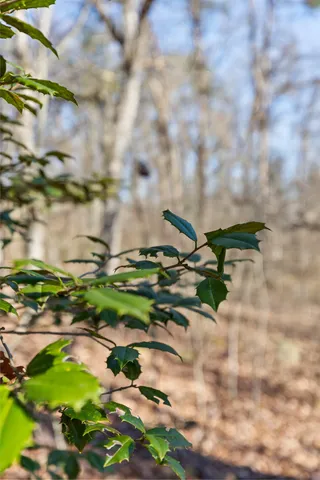 $120,000 | 3612 Taft Highway, Signal Mountain, TN 37377