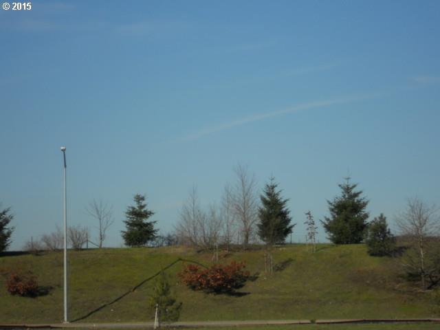 0 Battle Creek Road Southeast Salem, OR 97302 - Photo 2 of 6