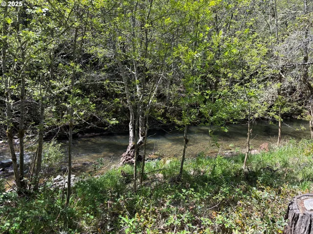 $199,000 | 34953 Tiller Trail Highway, Tiller, OR 97484