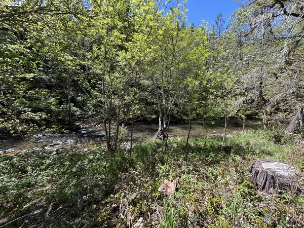 $199,000 | 34953 Tiller Trail Highway, Tiller, OR 97484