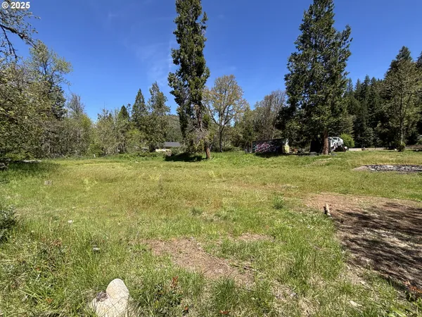 $199,000 | 34953 Tiller Trail Highway, Tiller, OR 97484