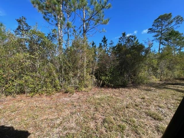 87 County Road Elberta, AL 36530 - Photo 3 of 7