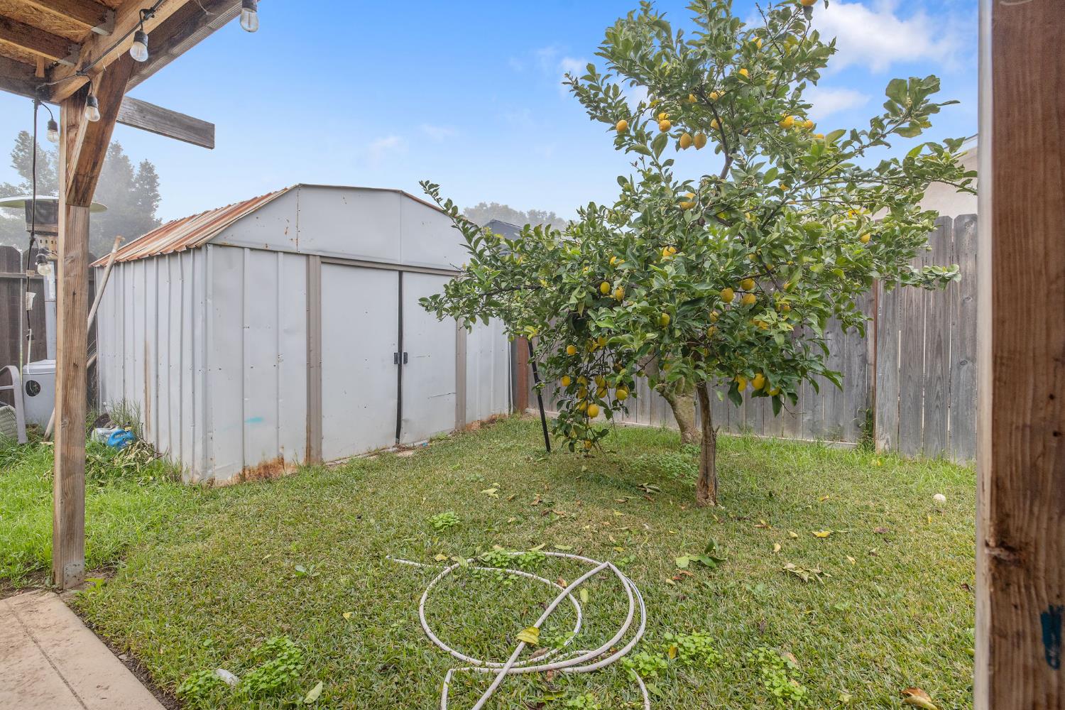 105 West Clark Street Madera, CA 93638 - Photo 32 of 33 a backyard of a house with lots of green space