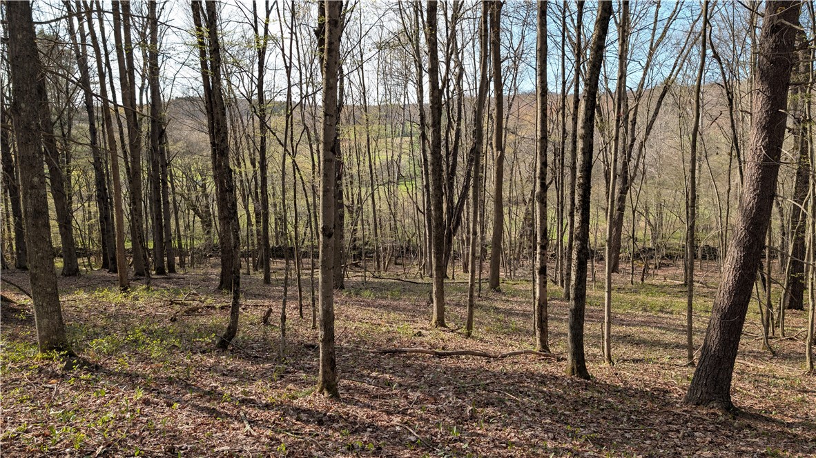 2332 Houghtaling Hollow Road East Meredith, NY 13757 - Photo 40 of 44