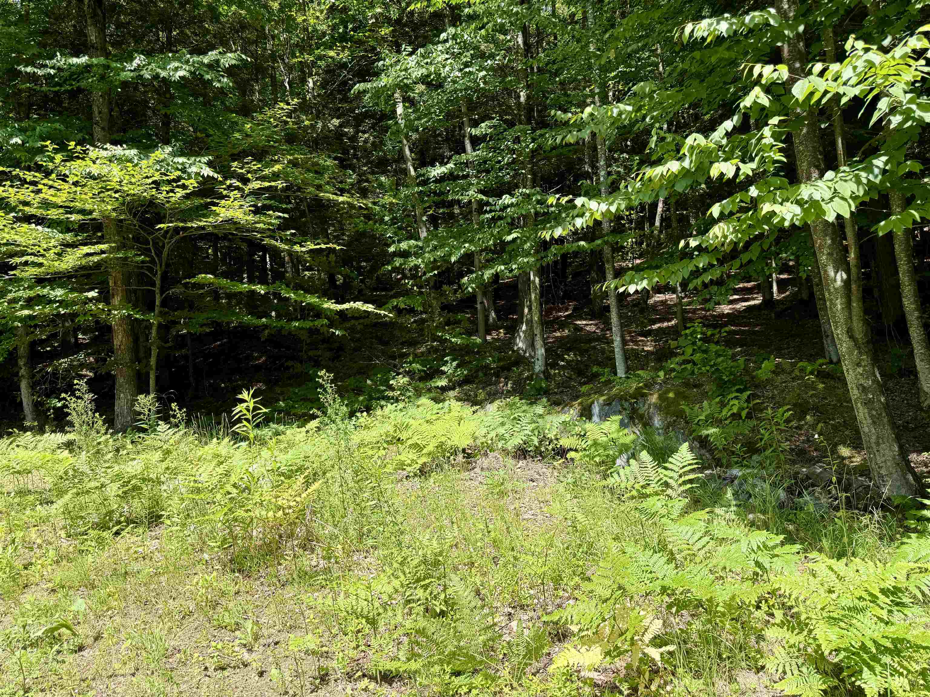175 Sunset Rock Road Lebanon, NH 03766 - Photo 13 of 28