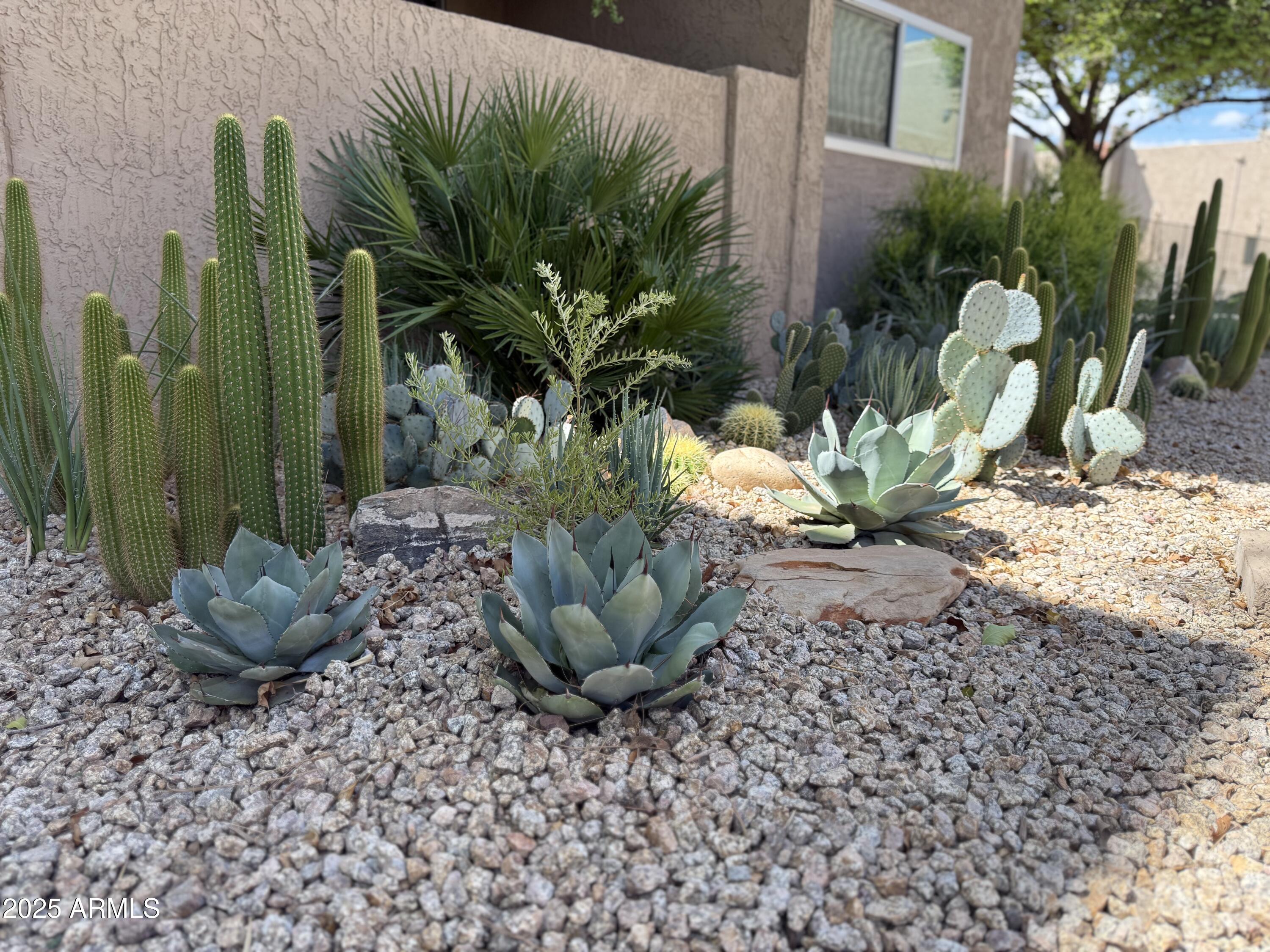 5525 East Thomas Road, Unit M12 Phoenix, AZ 85018 - Photo 29 of 42 landscape