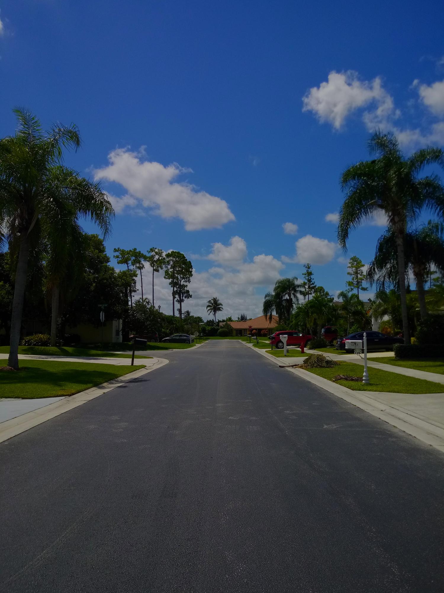 1127 Aviary Road Wellington, FL 33414 - Photo 3 of 40 Wide Streets