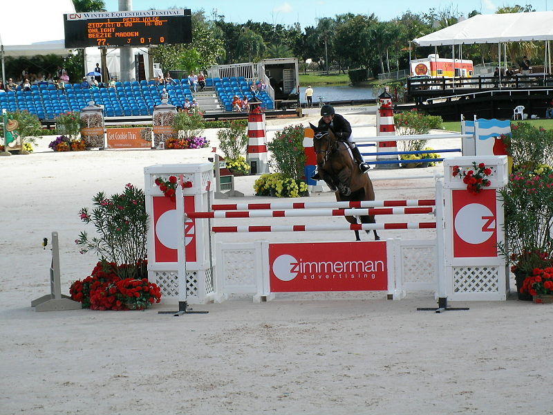 1127 Aviary Road Wellington, FL 33414 - Photo 38 of 40 Equestrian Competitions