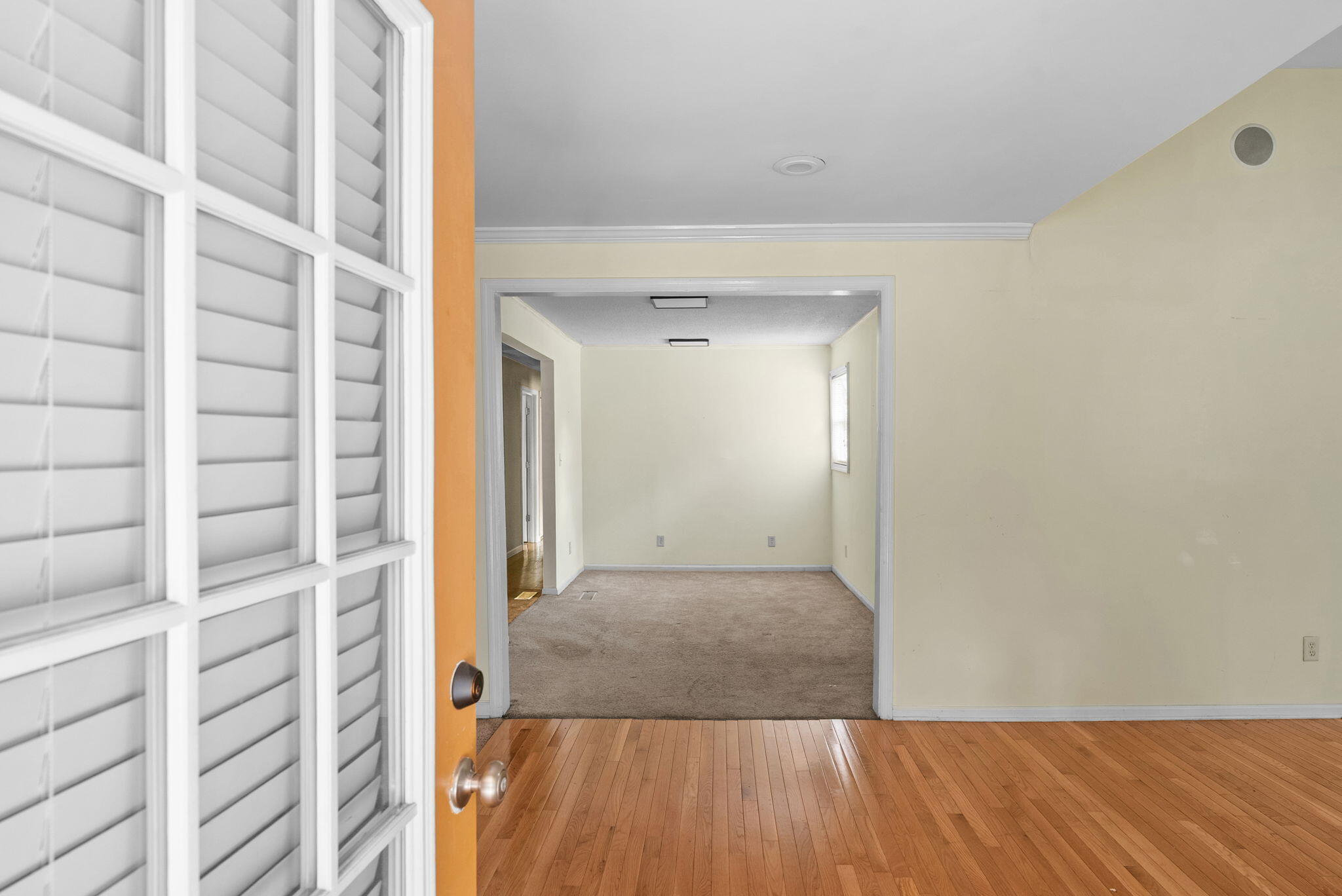 224 Rodenberry Road Cross, SC 29436 - Photo 6 of 47 6-web-or-mls-BARCLAY MEDIA CO-5