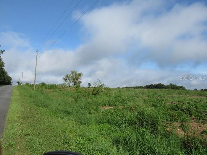 Hill Road Brooksville, FL 34602 - Photo 1 of 1 a view of a garden