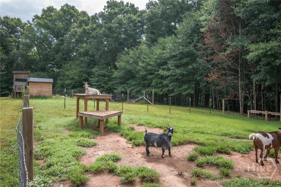 2014 Athens Road Royston, GA 30662 - Photo 26 of 39 Gallery Image 26