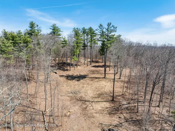a view of outdoor space with trees