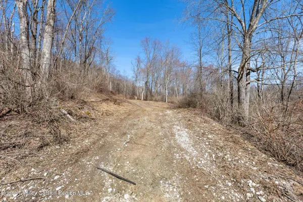 a view of a dry yard with trees
