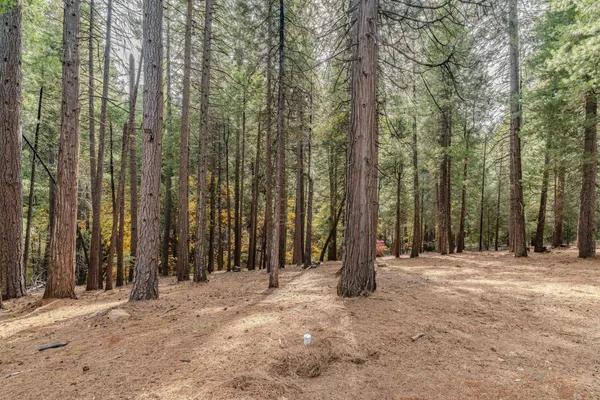 $295,000 | 19396 Ponderosa Drive, Pioneer, CA 95666