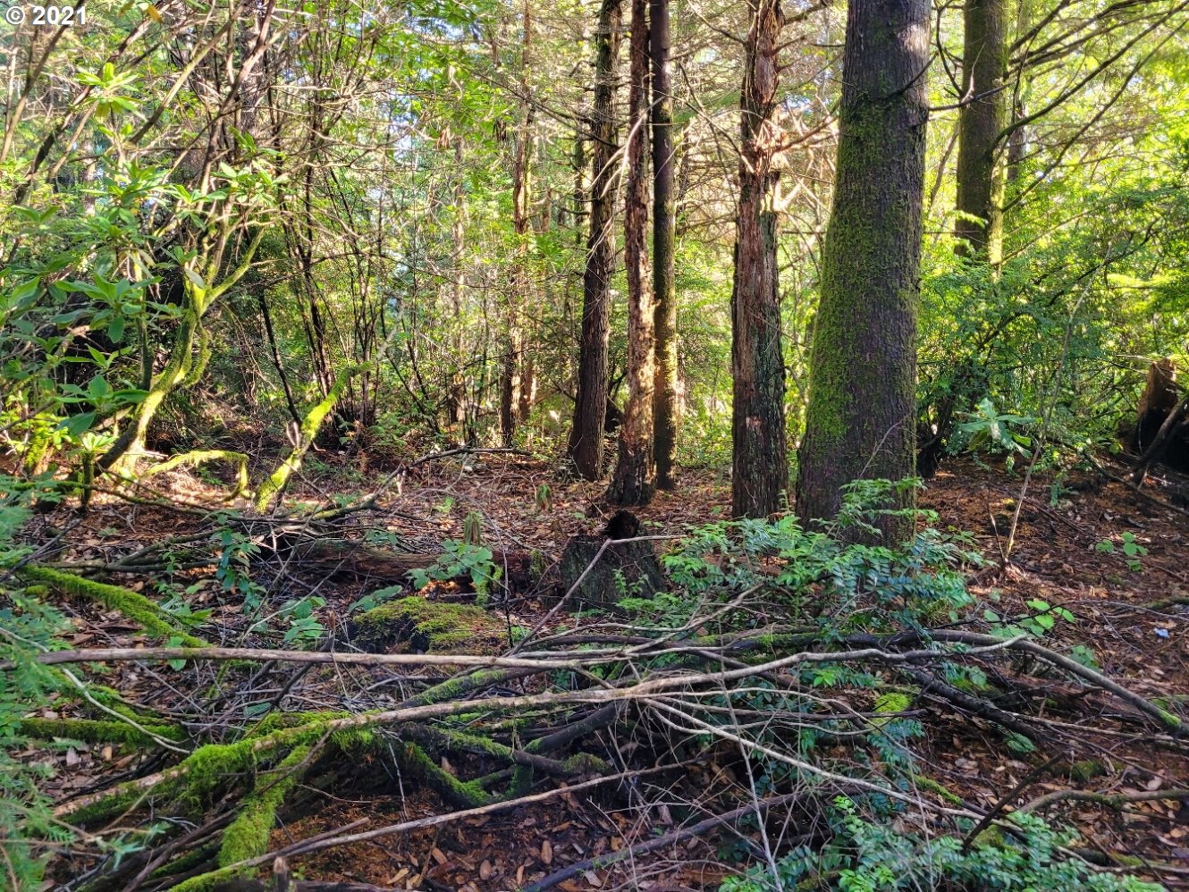 Old Mill Rd Port, Unit 9 Port Orford, OR 97465 - Photo 1 of 13 Gallery Image 1