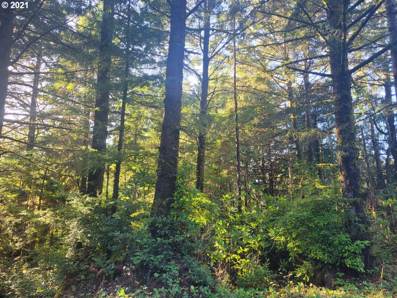 Old Mill Rd Port, Unit 9 Port Orford, OR 97465 - Photo 12 of 13 Gallery Image 12