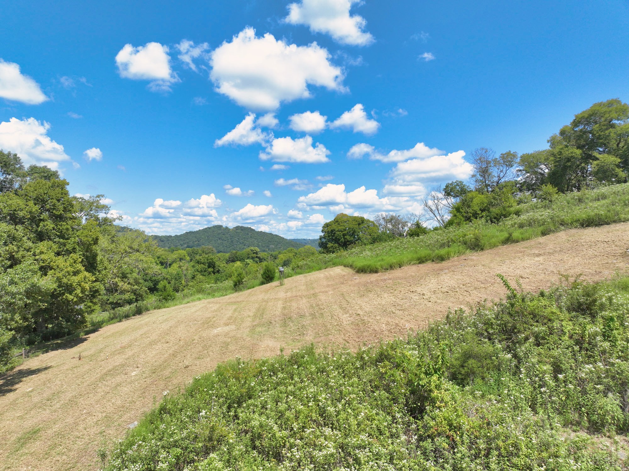 28 Edd Hackett Road Carthage, TN 37030 - Photo 59 of 64 Gallery Image 59
