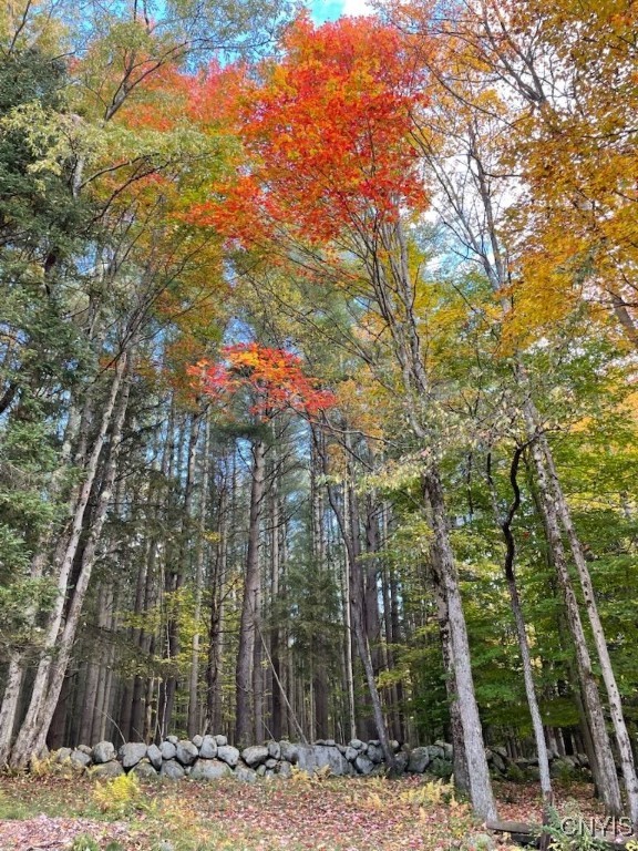 1848 Gray-Wilmurt Road Ohio, NY 13324 - Photo 29 of 30