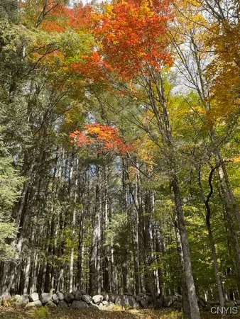 $215,000 | 1848 Gray-Wilmurt Road, Ohio, NY 13324