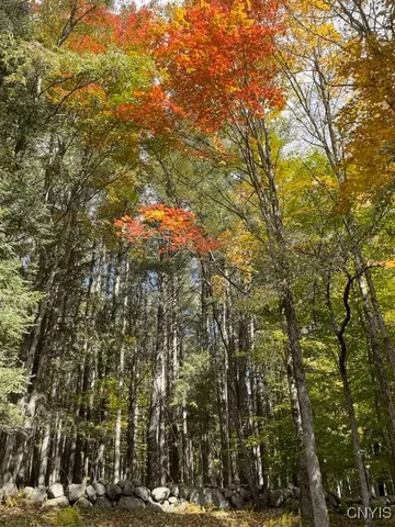 $215,000 | 1848 Gray-Wilmurt Road, Ohio, NY 13324