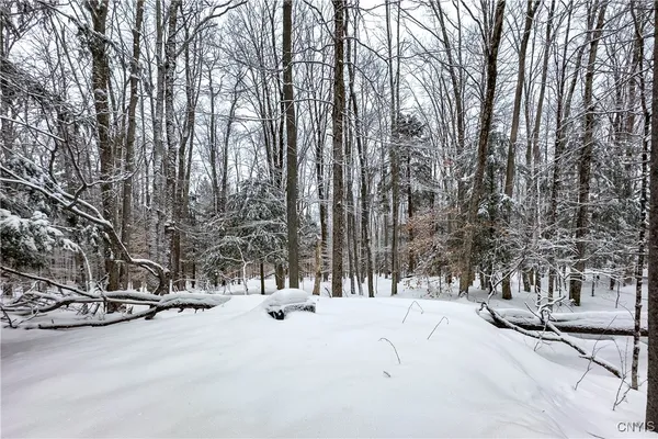 $215,000 | 1848 Gray-Wilmurt Road, Ohio, NY 13324