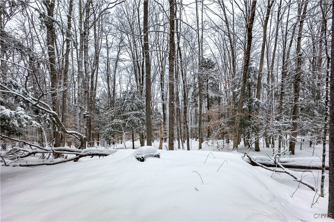 1848 Gray-Wilmurt Road Ohio, NY 13324 - Photo 5 of 30