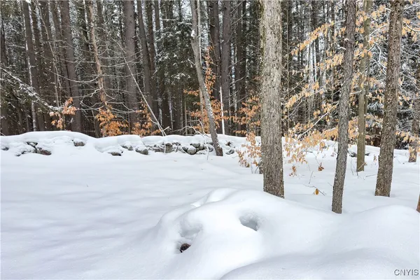 $215,000 | 1848 Gray-Wilmurt Road, Ohio, NY 13324