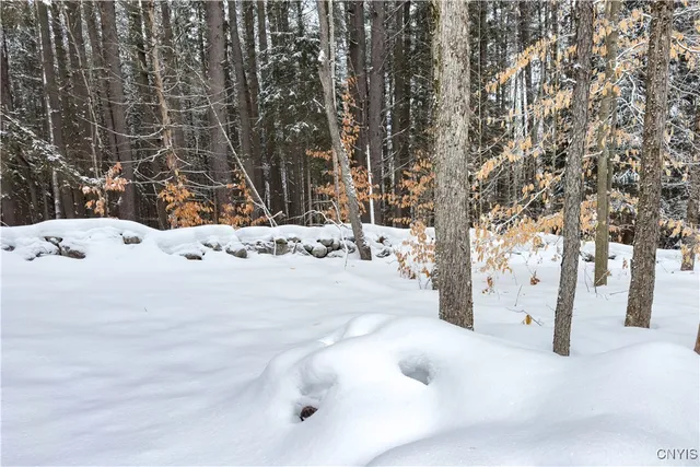 $215,000 | 1848 Gray-Wilmurt Road, Ohio, NY 13324