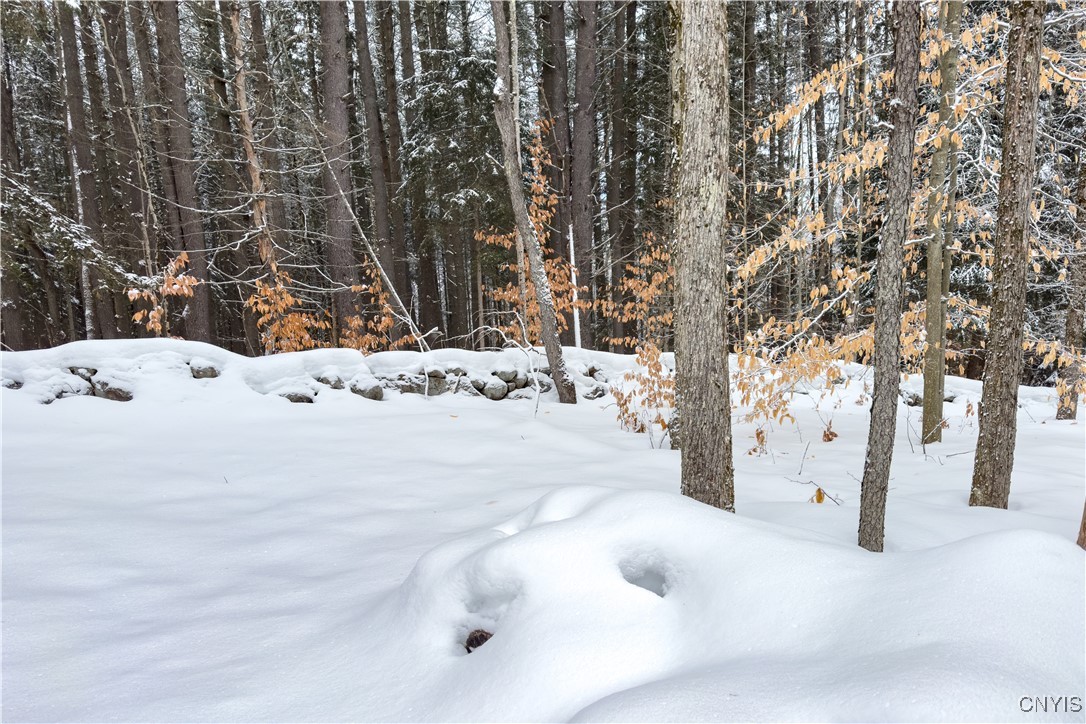 1848 Gray-Wilmurt Road Ohio, NY 13324 - Photo 6 of 30