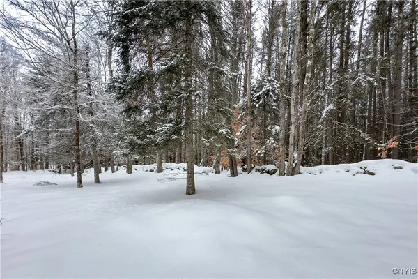 $215,000 | 1848 Gray-Wilmurt Road, Ohio, NY 13324