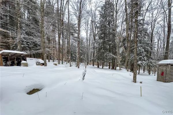 $215,000 | 1848 Gray-Wilmurt Road, Ohio, NY 13324