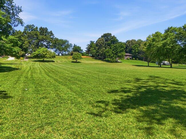 2863 New Lake Road Spring City, TN 37381 - Photo 4 of 12 008_dji_20260603095532_0684_d_165
