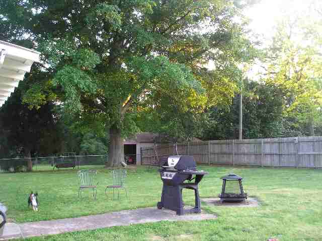 202 Pine Ridge Road Lyman, SC 29365 - Photo 7 of 7 Gallery Image 7