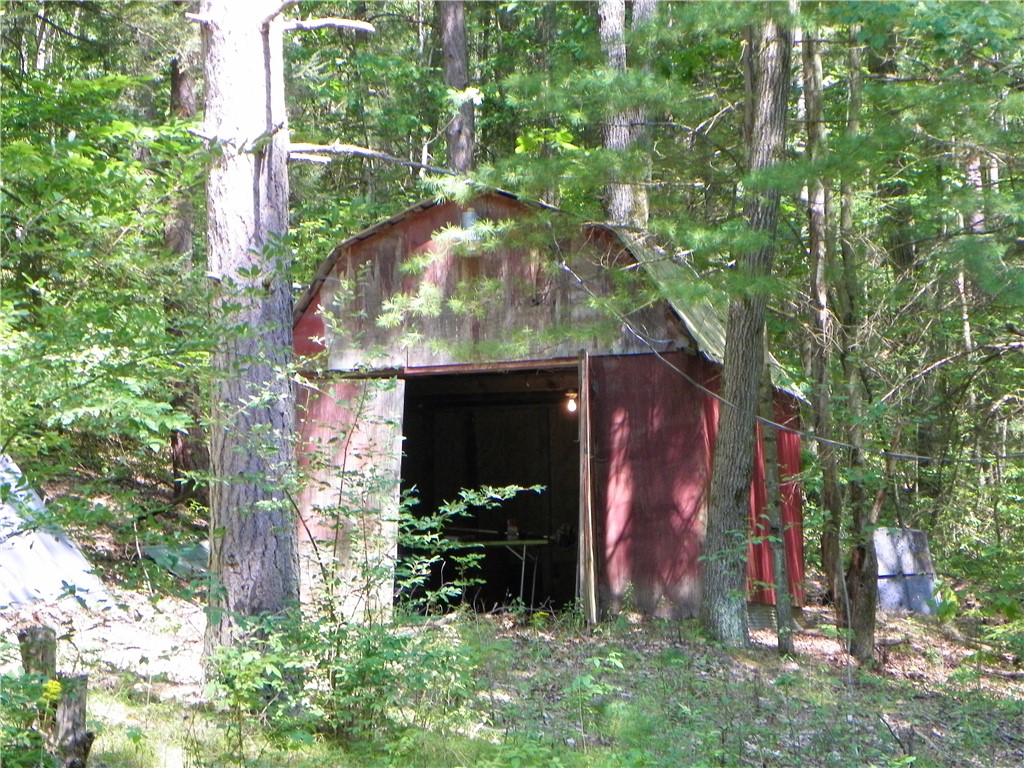8021 Hickory Hill Road Bath, NY 14810 - Photo 14 of 44 Shed