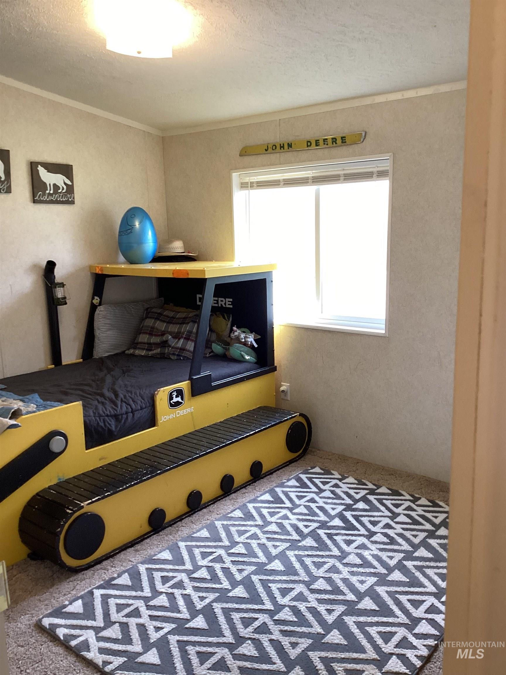 2605 West Frk Road Council, ID 83612 - Photo 30 of 34 Exercise area with carpet floors and a textured ceiling
