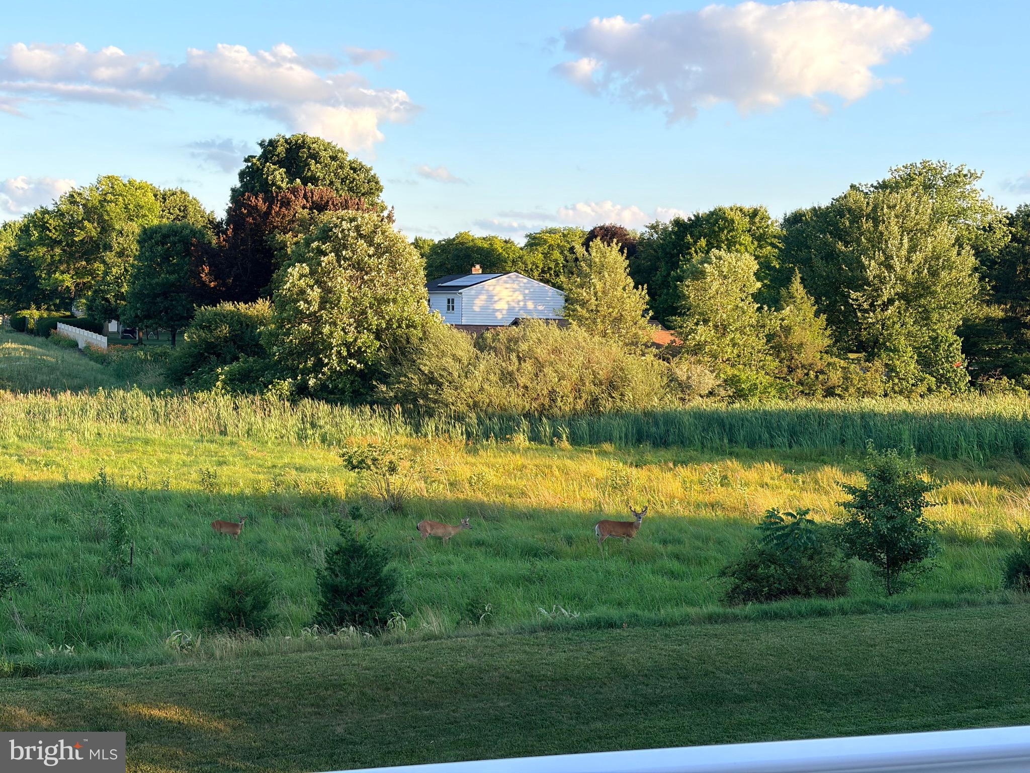 506 East Delp Road Lancaster, PA 17601 - Photo 119 of 119 Many Deer Sightings!