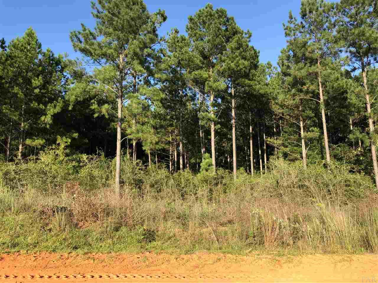 Lot Dsw Lot Dsw Gin Road Pace, FL 32571 - Photo 1 of 7 Gallery Image 1