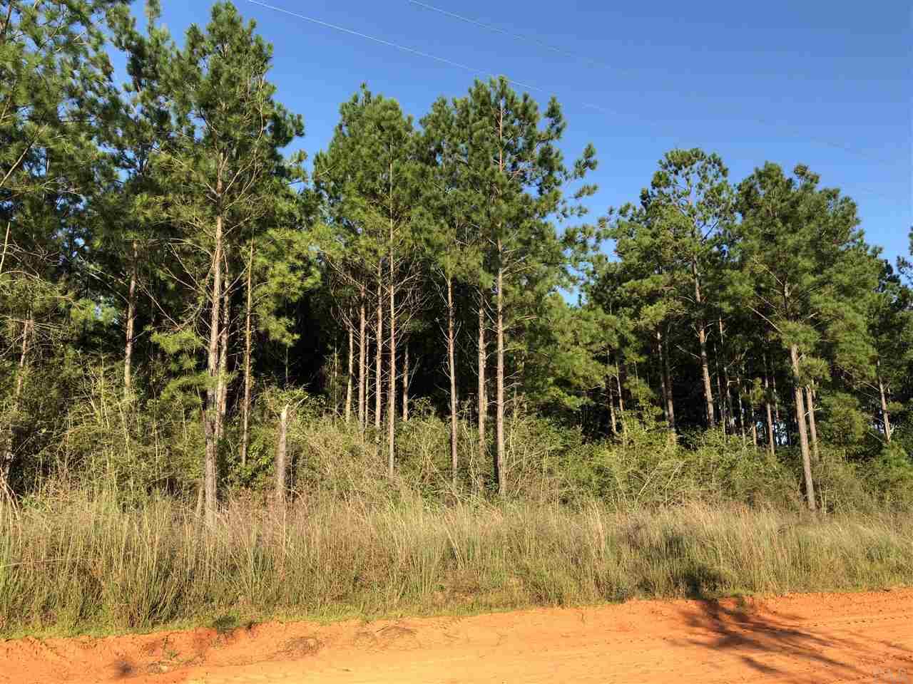 Lot Dsw Lot Dsw Gin Road Pace, FL 32571 - Photo 2 of 7 Gallery Image 2