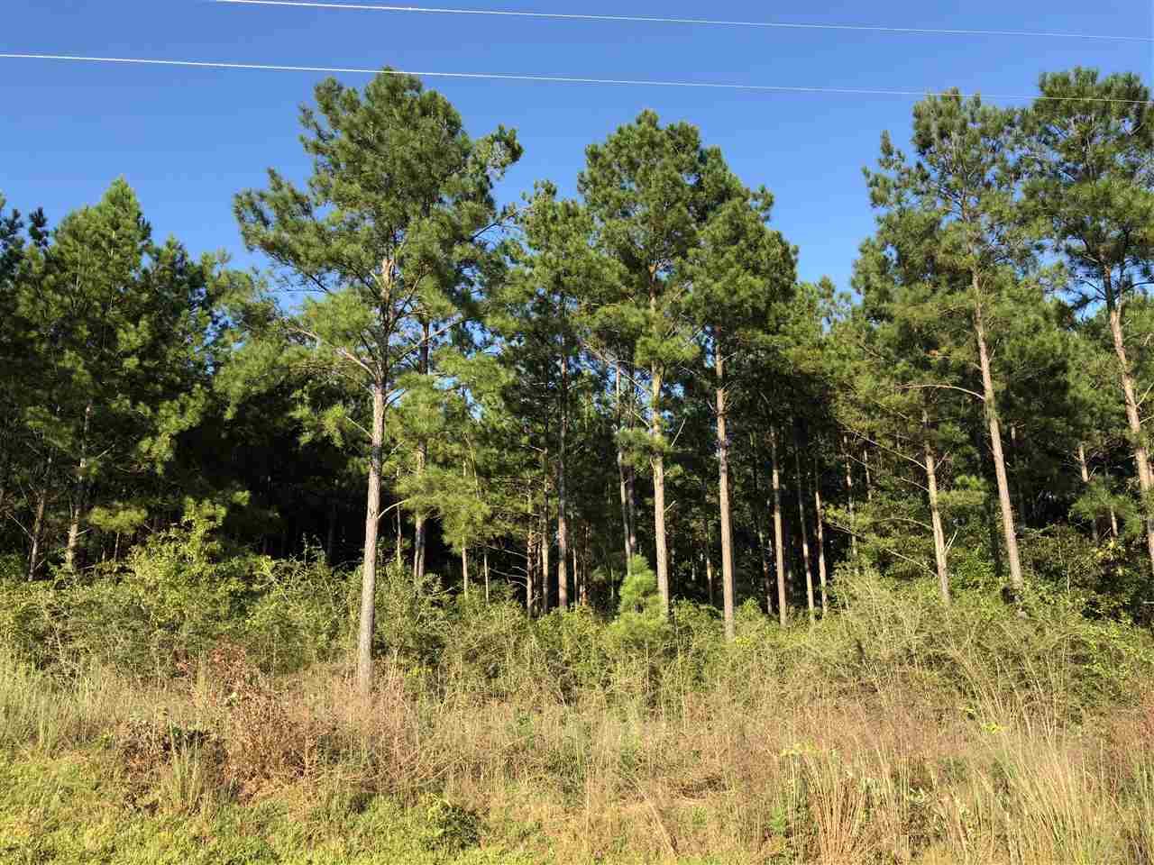 Lot Dsw Lot Dsw Gin Road Pace, FL 32571 - Photo 3 of 7 Gallery Image 3