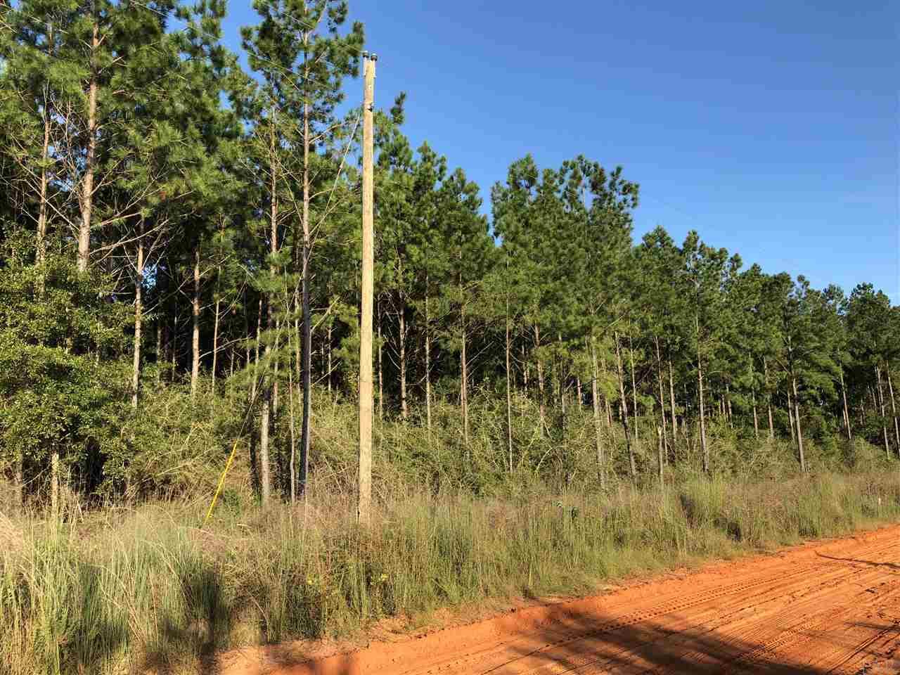 Lot Dsw Lot Dsw Gin Road Pace, FL 32571 - Photo 4 of 7 Gallery Image 4