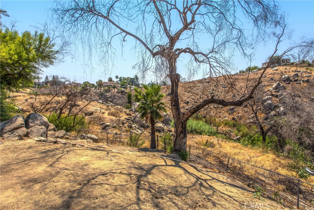 6966 Ranch View Road Riverside, CA 92506 - Photo 60 of 73 a view of a yard with plants and trees
