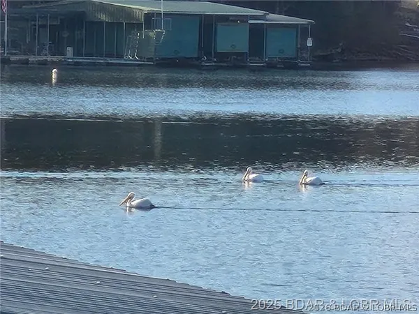 $660,000 | 29744 Clark Road, Gravois Mills, MO 65037