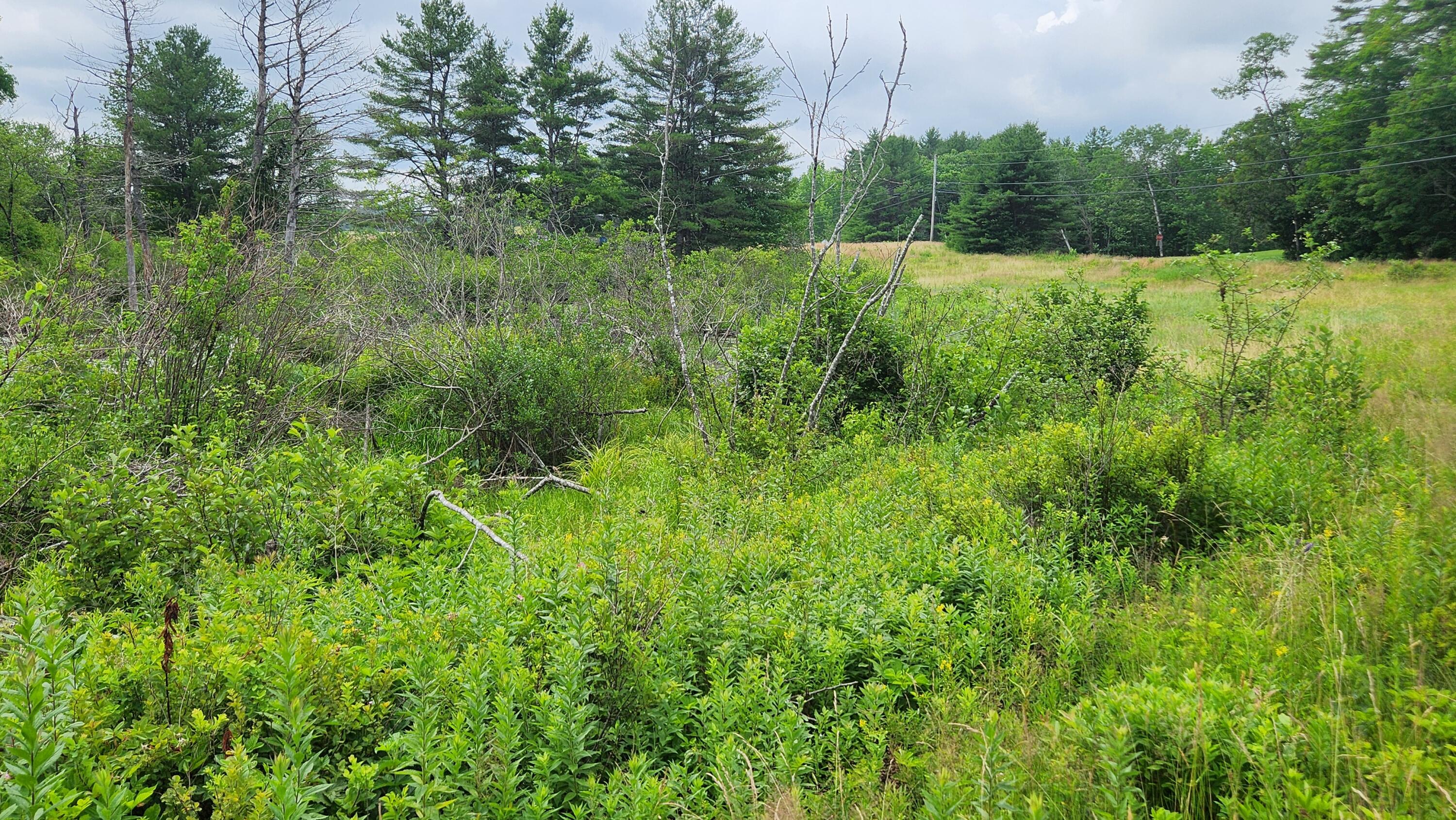 0 Dana Mill Road Woolwich, ME 04579 - Photo 13 of 26