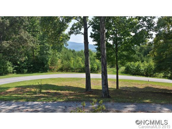2838 Lake Adger Road Mill Spring, NC 28756 - Photo 4 of 23