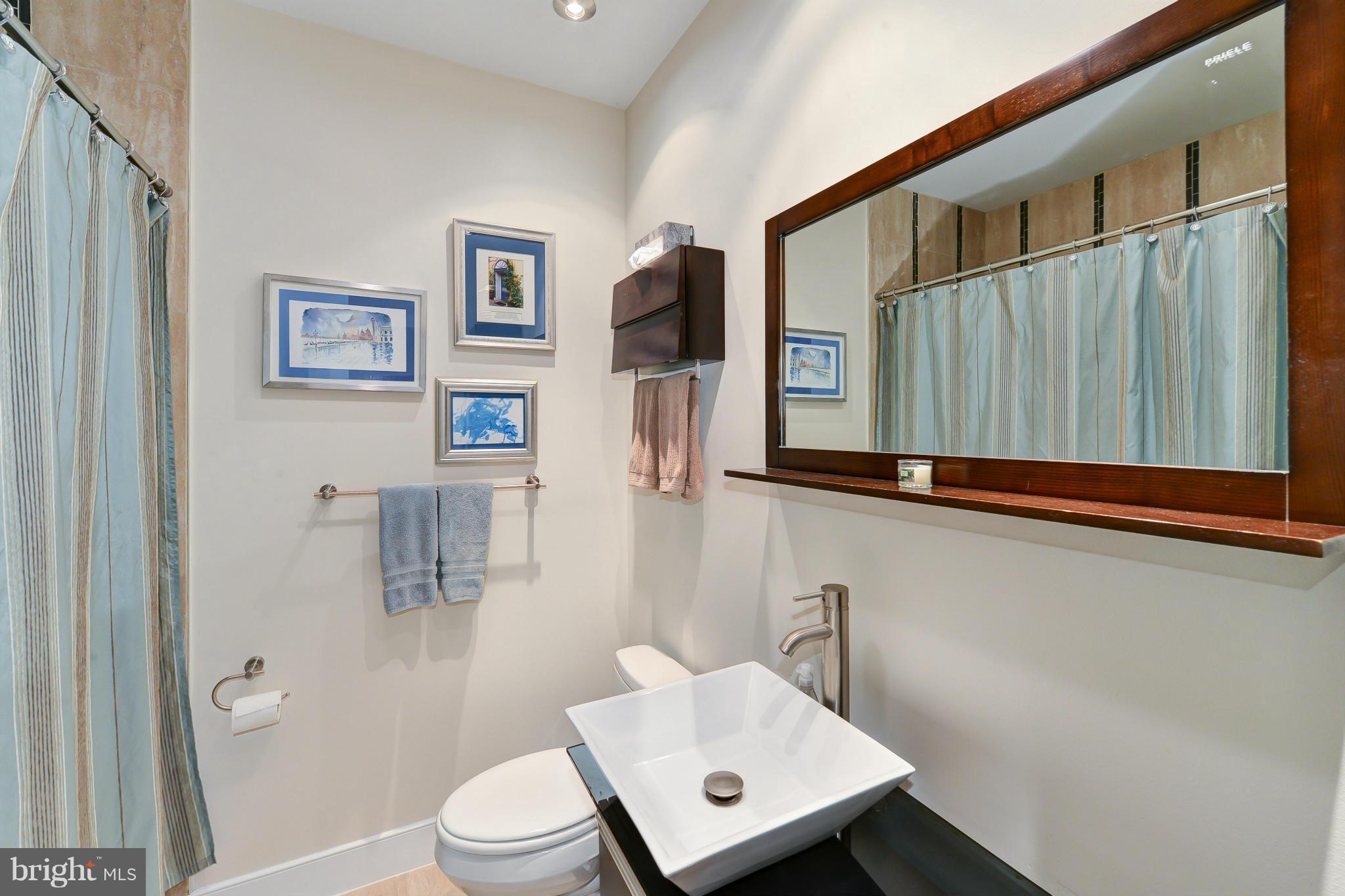 1630 D Street Southeast, Unit 3 Washington, DC 20003 - Photo 11 of 23 Bath with jetted soaking tub