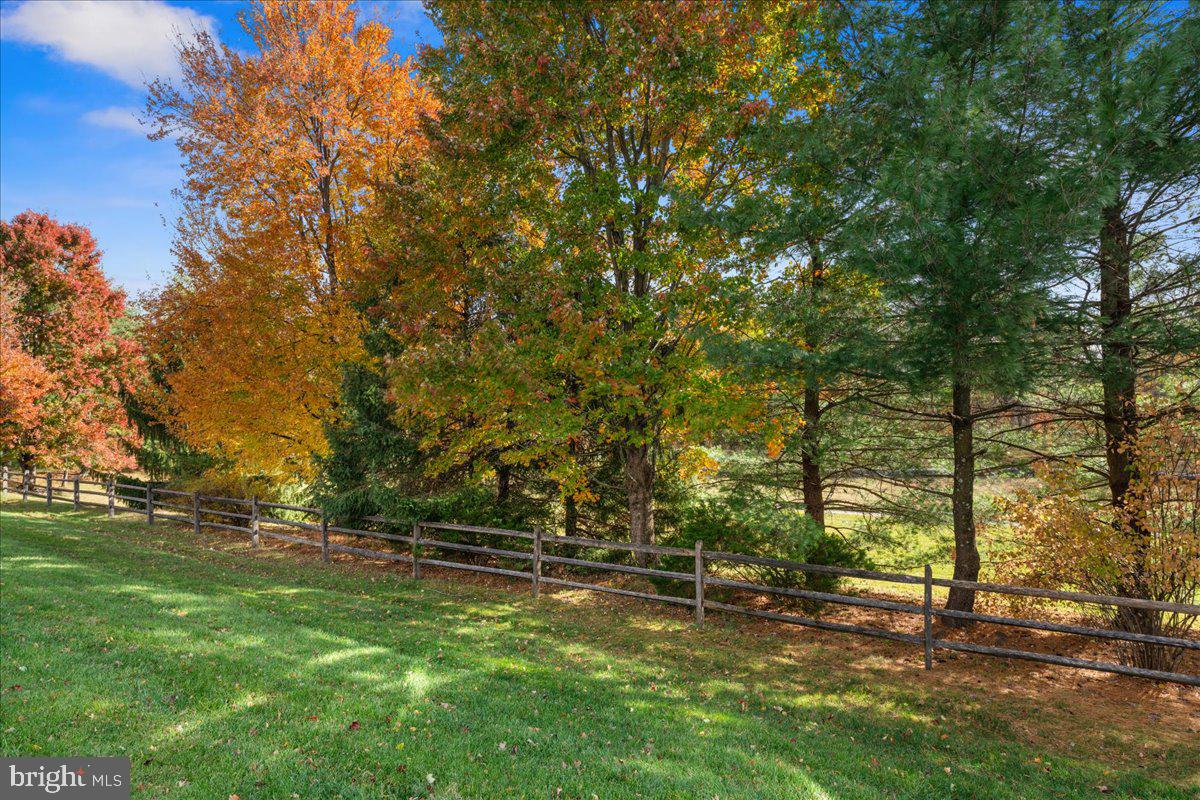 316 Watkins Road Pennington, NJ 08534 - Photo 32 of 37 a view of backyard with green space