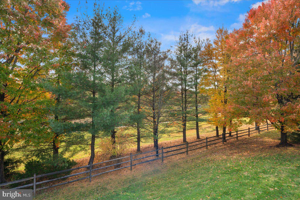 316 Watkins Road Pennington, NJ 08534 - Photo 35 of 37 a view of yard with trees
