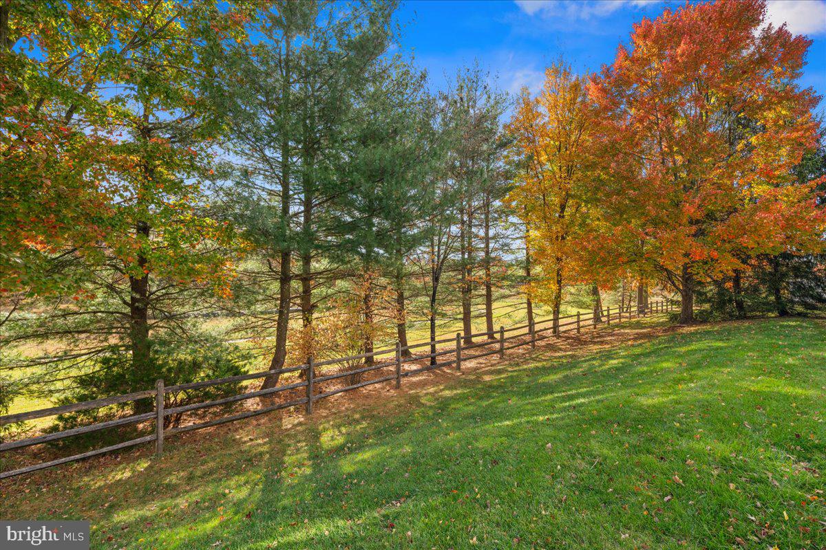 316 Watkins Road Pennington, NJ 08534 - Photo 36 of 37 a view of yard with trees